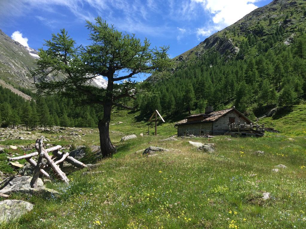 Chalet Sunstar Saas-Grund Extérieur photo